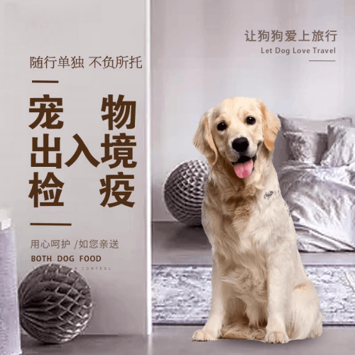 琼中县宠物托运到哥伦比亚猫狗宠物入境规定和