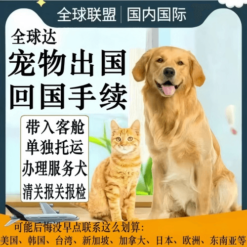 琼中县宠物托运到柬埔寨宠物入境规定和要求