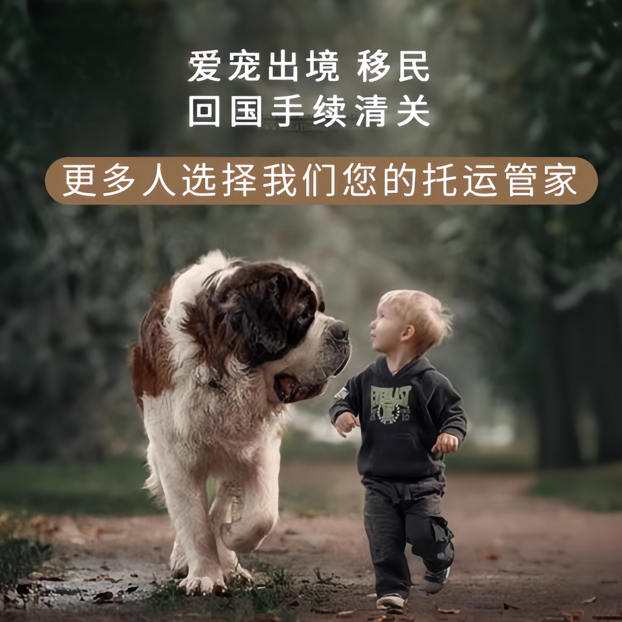 满财琼中县宠物全球达宠物托运在遵守入境目的地政策的条件