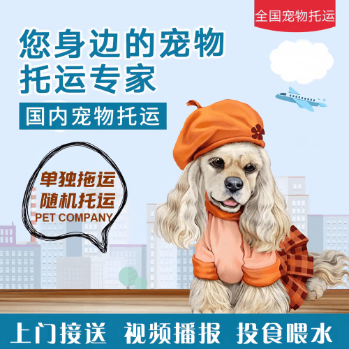满财琼中县宠物全球达宠物托运作为专业的宠物运输代理机构